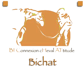 logo Bichat